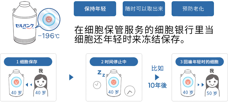 皮肤细胞保存 日医 Jp Apex